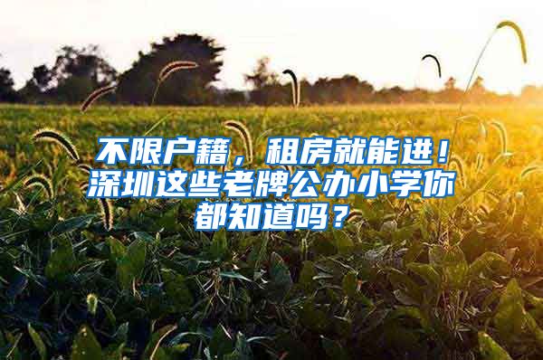 不限户籍，租房就能进！深圳这些老牌公办小学你都知道吗？