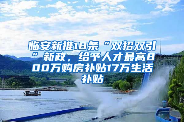 临安新推18条“双招双引”新政，给予人才最高800万购房补贴17万生活补贴