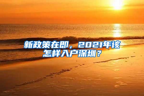 新政策在即，2021年该怎样入户深圳？