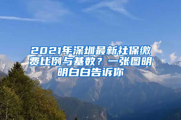 2021年深圳最新社保缴费比例与基数？一张图明明白白告诉你