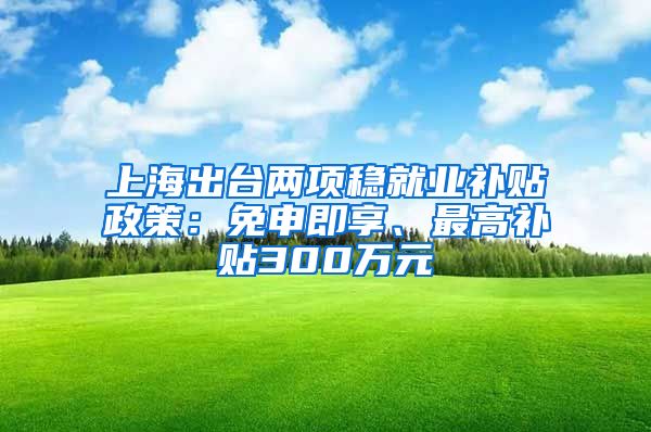 上海出台两项稳就业补贴政策：免申即享、最高补贴300万元