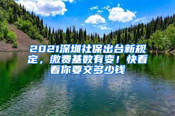 2021深圳社保出台新规定，缴费基数有变！快看看你要交多少钱