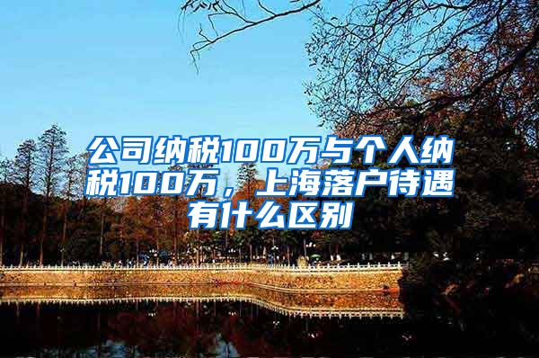 公司纳税100万与个人纳税100万，上海落户待遇有什么区别