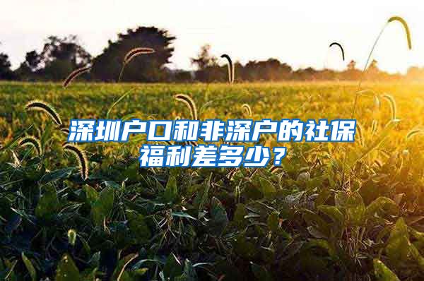 深圳户口和非深户的社保福利差多少？