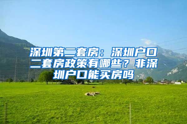 深圳第二套房：深圳户口二套房政策有哪些？非深圳户口能买房吗