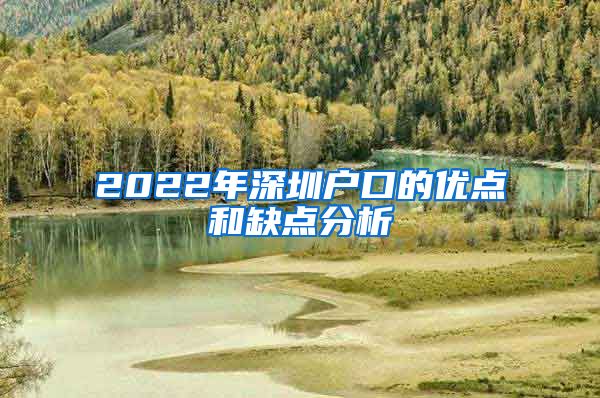 2022年深圳户口的优点和缺点分析