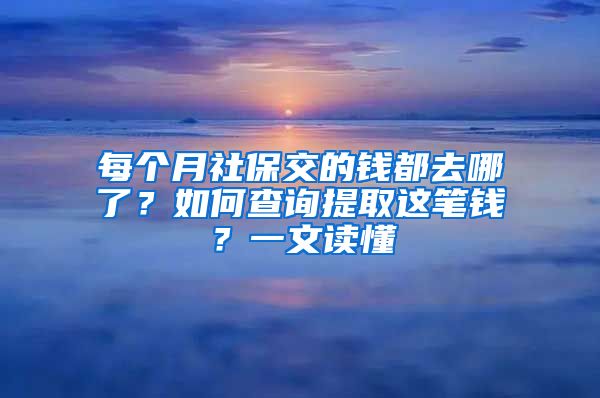 每个月社保交的钱都去哪了？如何查询提取这笔钱？一文读懂