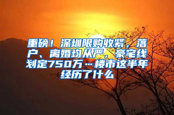 重磅！深圳限购收紧，落户、离婚均从严，豪宅线划定750万…楼市这半年经历了什么