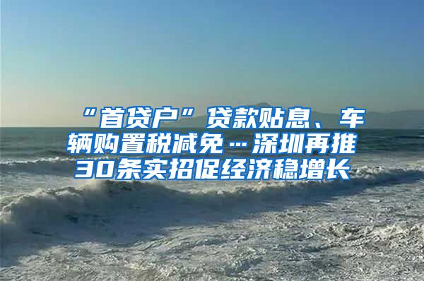 “首贷户”贷款贴息、车辆购置税减免…深圳再推30条实招促经济稳增长