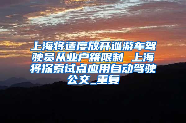 上海将适度放开巡游车驾驶员从业户籍限制 上海将探索试点应用自动驾驶公交_重复