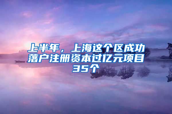 上半年，上海这个区成功落户注册资本过亿元项目35个