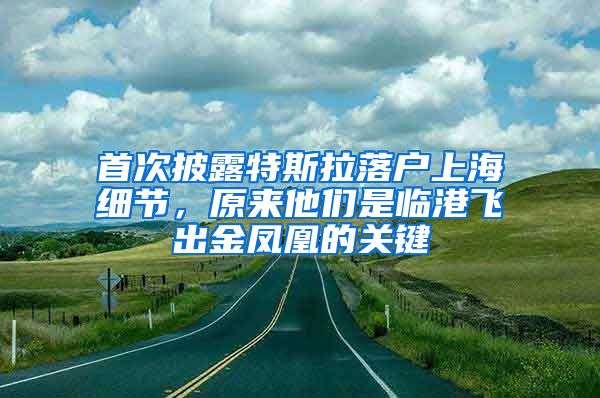 首次披露特斯拉落户上海细节，原来他们是临港飞出金凤凰的关键