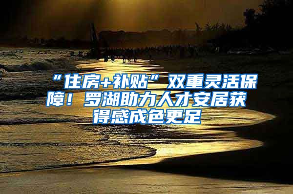 “住房+补贴”双重灵活保障！罗湖助力人才安居获得感成色更足