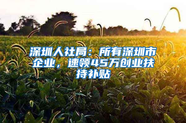 深圳人社局：所有深圳市企业，速领45万创业扶持补贴