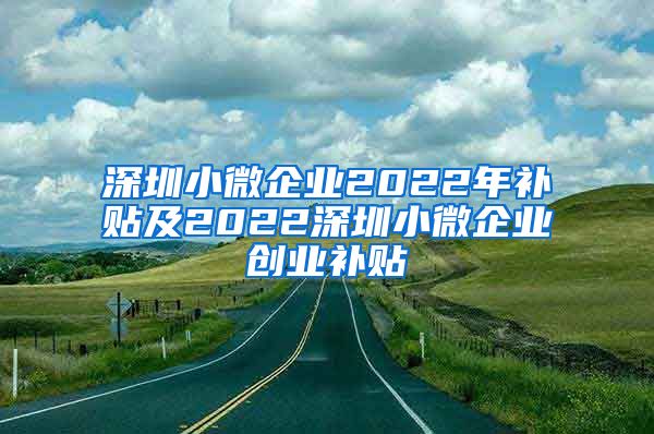 深圳小微企业2022年补贴及2022深圳小微企业创业补贴