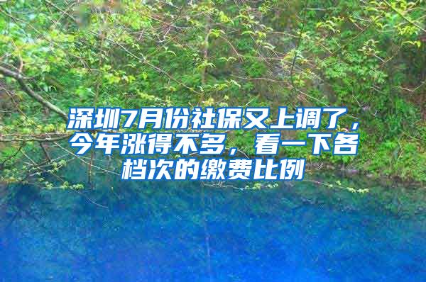 深圳7月份社保又上调了，今年涨得不多，看一下各档次的缴费比例