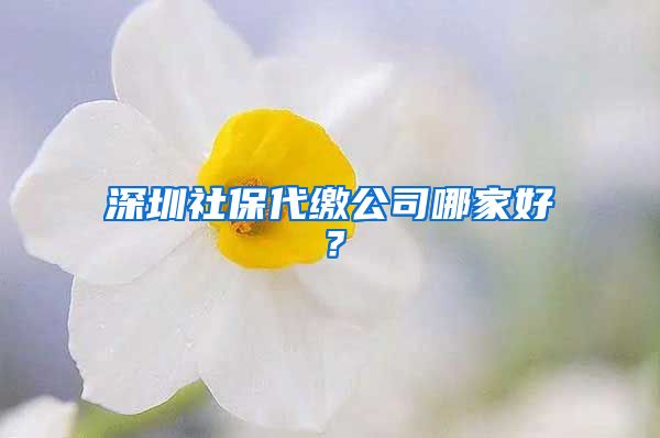 深圳社保代缴公司哪家好？