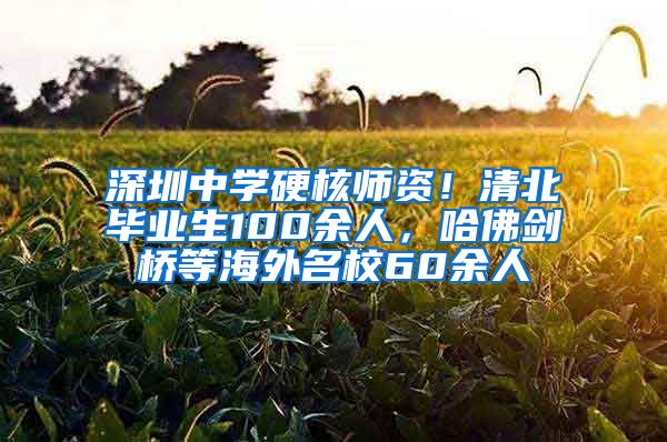 深圳中学硬核师资！清北毕业生100余人，哈佛剑桥等海外名校60余人