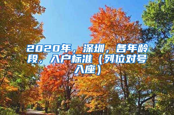 2020年，深圳，各年龄段，入户标准（列位对号入座）