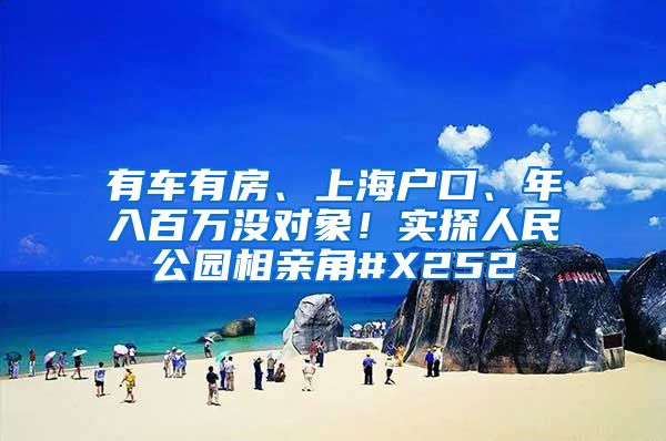 有车有房、上海户口、年入百万没对象！实探人民公园相亲角#X252