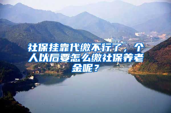 社保挂靠代缴不行了，个人以后要怎么缴社保养老金呢？