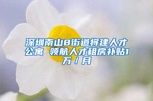 深圳南山8街道将建人才公寓 领航人才租房补贴1万／月