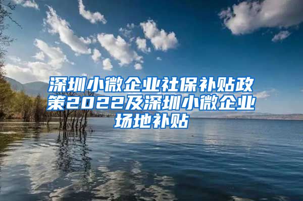 深圳小微企业社保补贴政策2022及深圳小微企业场地补贴