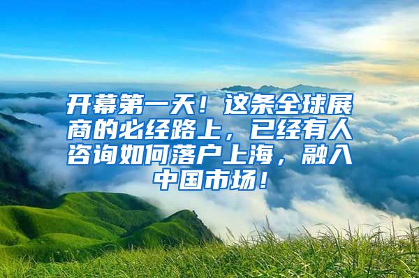 开幕第一天！这条全球展商的必经路上，已经有人咨询如何落户上海，融入中国市场！