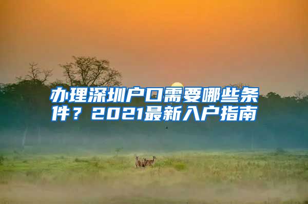 办理深圳户口需要哪些条件？2021最新入户指南