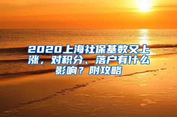 2020上海社保基数又上涨，对积分、落户有什么影响？附攻略