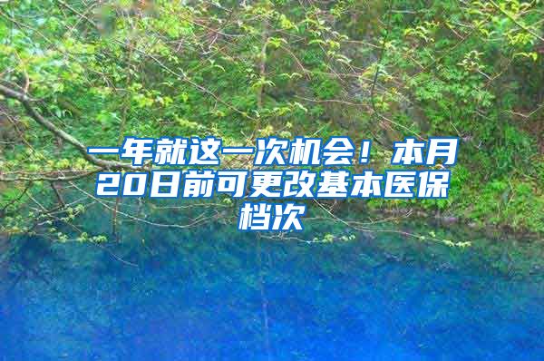 一年就这一次机会！本月20日前可更改基本医保档次