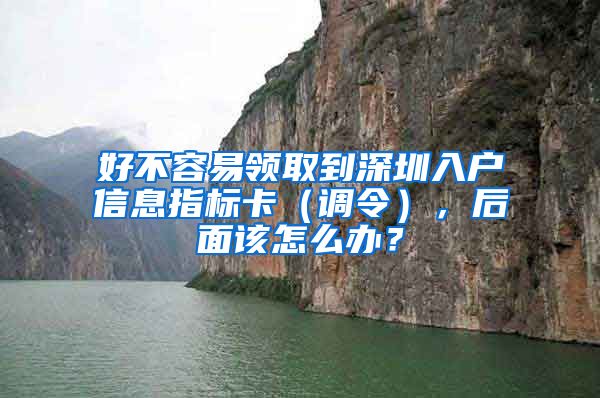 好不容易领取到深圳入户信息指标卡（调令），后面该怎么办？