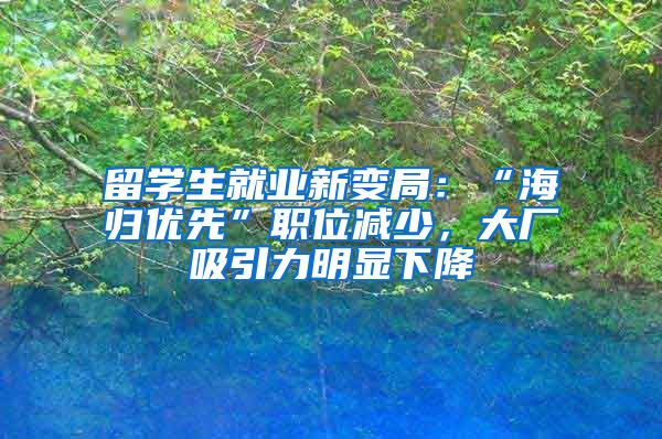 留学生就业新变局：“海归优先”职位减少，大厂吸引力明显下降