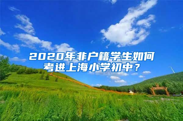 2020年非户籍学生如何考进上海小学初中？