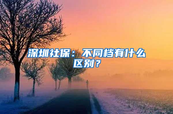 深圳社保：不同档有什么区别？