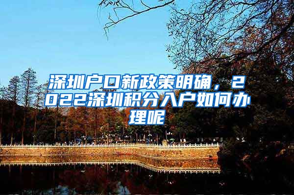 深圳户口新政策明确，2022深圳积分入户如何办理呢