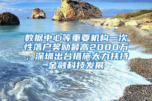 数据中心等重要机构一次性落户奖励最高2000万，深圳出台措施大力扶持金融科技发展