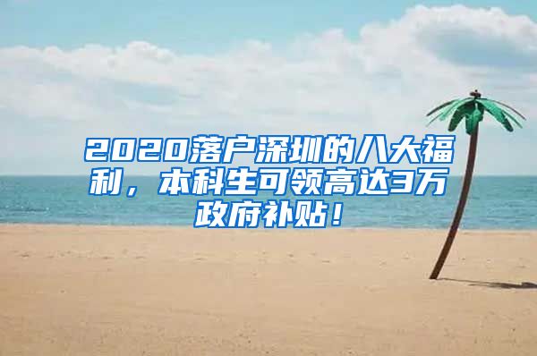 2020落户深圳的八大福利，本科生可领高达3万政府补贴！