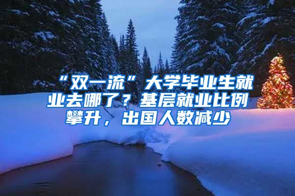 “双一流”大学毕业生就业去哪了？基层就业比例攀升，出国人数减少