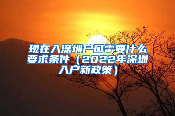 现在入深圳户口需要什么要求条件（2022年深圳入户新政策）