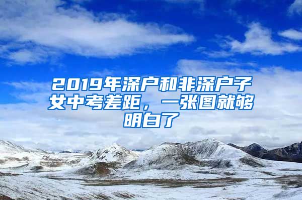 2019年深户和非深户子女中考差距，一张图就够明白了