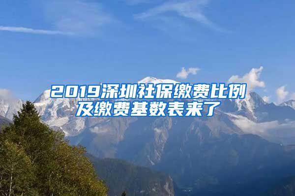 2019深圳社保缴费比例及缴费基数表来了