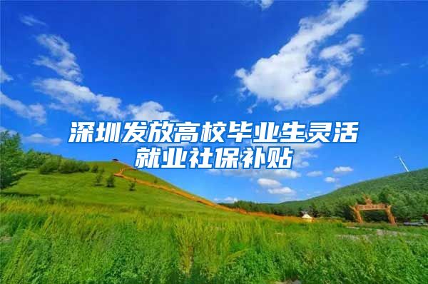 深圳发放高校毕业生灵活就业社保补贴