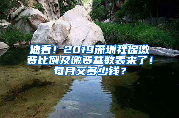 速看！2019深圳社保缴费比例及缴费基数表来了！每月交多少钱？