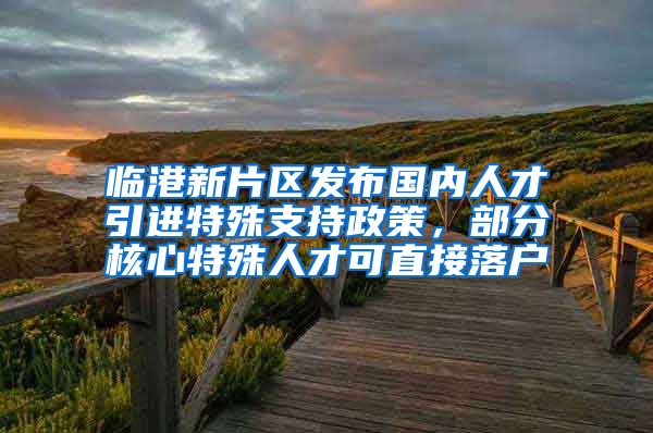 临港新片区发布国内人才引进特殊支持政策，部分核心特殊人才可直接落户