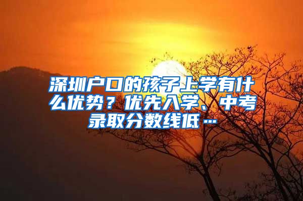 深圳户口的孩子上学有什么优势？优先入学、中考录取分数线低…