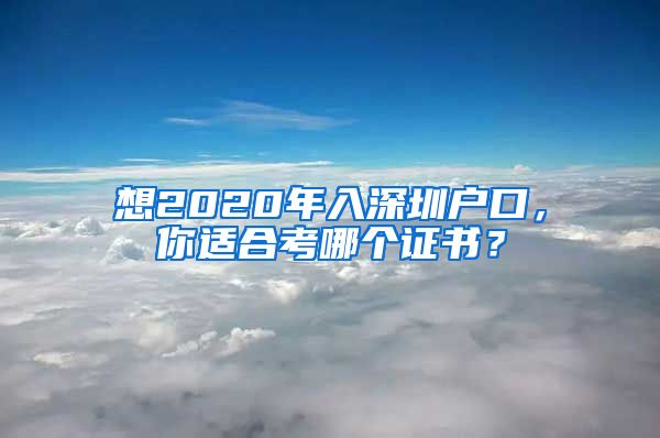 想2020年入深圳户口，你适合考哪个证书？