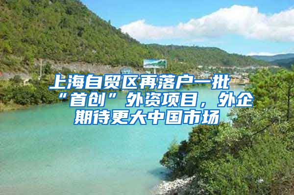 上海自贸区再落户一批“首创”外资项目，外企期待更大中国市场