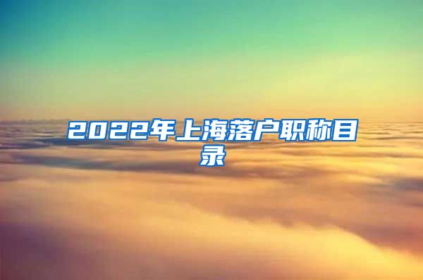 2022年上海落户职称目录