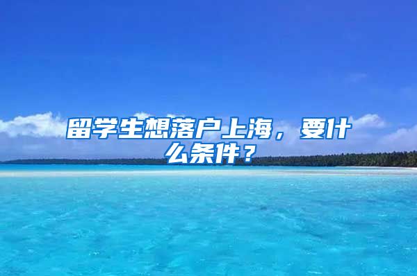 留学生想落户上海，要什么条件？